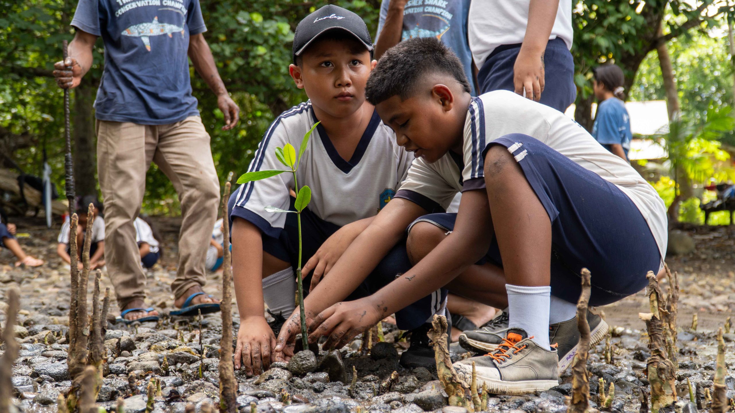 Kunjungan Lapangan SD Santa Maria Alor ke Hutan Mangrove