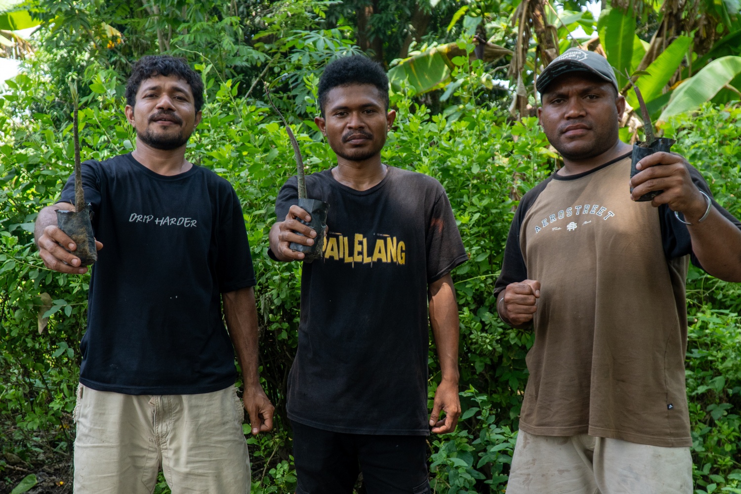 Kader Pemuda Mangrove Alor